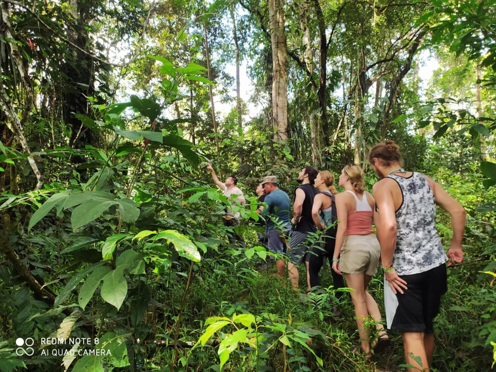 Jacamar Lodge Expeditions Ікітос Екстер'єр фото